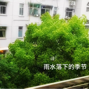 雨水落下的季节