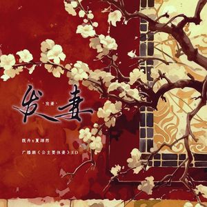 发妻-广播剧《公主要休妻》ED