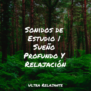 Hojas Revoloteando Hacia Abajo