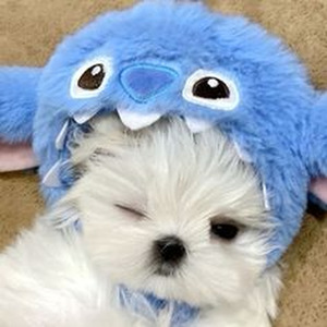 Aguanta Corazon (slowed)