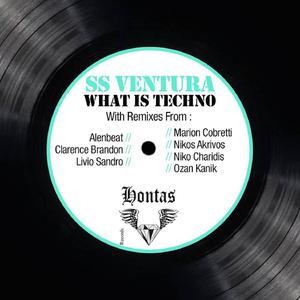 What Is Techno (Livio Sandro Remix) (remix)