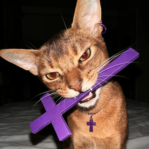 ZAN（Prod.by：9zi）