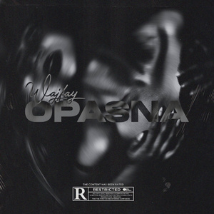 Opasna (SubRoo Remix)