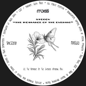 The Romance Of The Evening