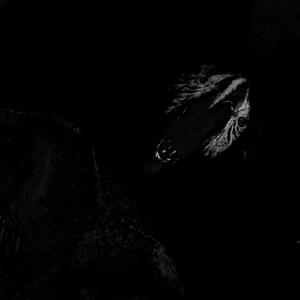 Outsider (feat. IMNOTHUMANBUTAPARROT) (Super Slow Version)