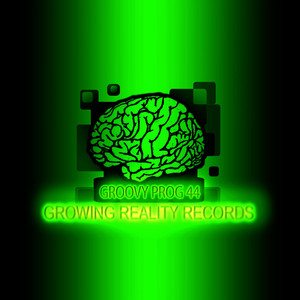 Barakas Violin (Supramental Remix)