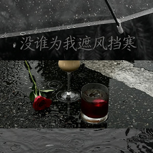 没谁为我遮风挡寒
