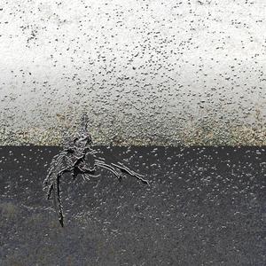 RAPACE (feat. cancri)