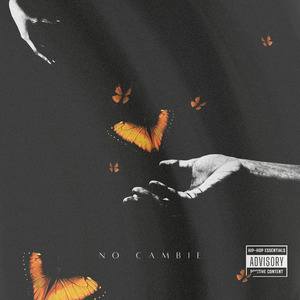 NO CAMBIE