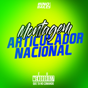 Montagem Articulador Naciona