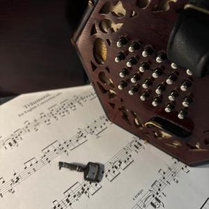 Kinderszenen, Op. 15: Träumerei (arr. Strong for English Concertina)