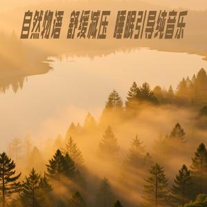 No.6大自然流水声 鸟叫助眠 无杂音