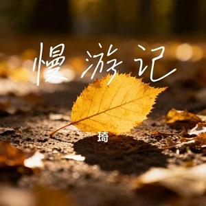 慢游记 (Cover 叶童)