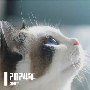 胜利时再闻花儿香（cover）