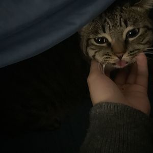 和你1780053914293