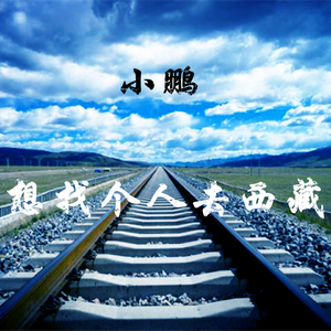 想找个人去西藏