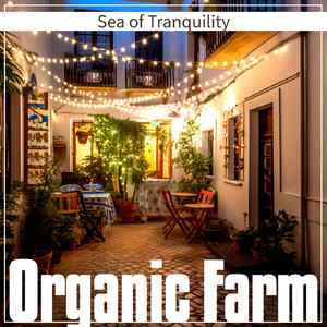 Opulent Shadows Dwell (Key G Ver.)