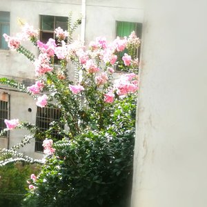 害怕幸福短暂的试探