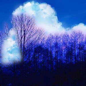 Darkness（已售）