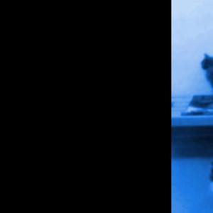 I Hacked The Operator