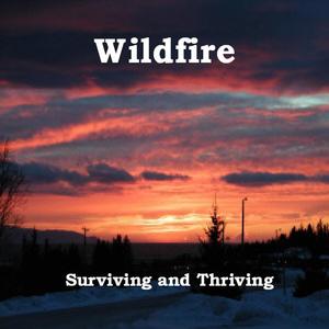 I'm Not Supposed To Love You