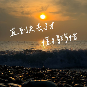 直到失去了才懂得珍惜