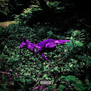 cold weather (feat. Lost & Pro Made This) (Chopped Not Slopped)