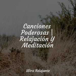 Sonoridades Sensuales