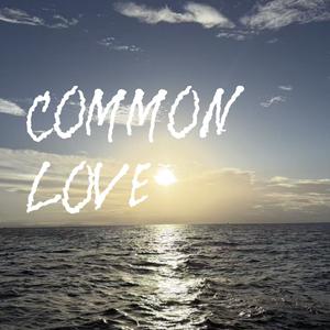 common love(cover驼儿）