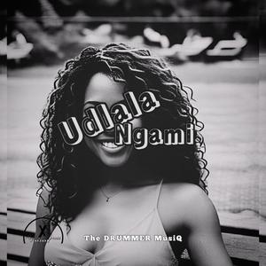 Udlala Ngami