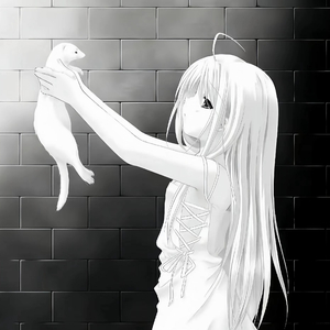 静音键
