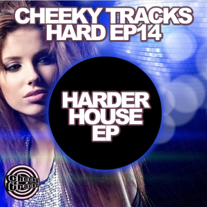 Crazy (Original Mix)