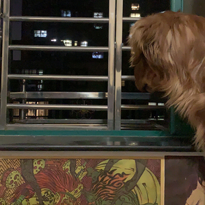 他妈妈不喜欢我（翻自 王矜霖）