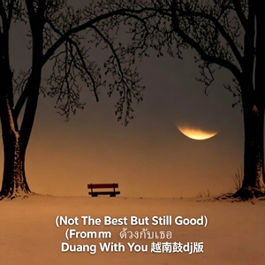 Not The Best But Still Good (From ด้วงกับเธอ Duang With You 越南鼓dj版