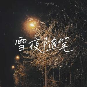 雪夜随笔