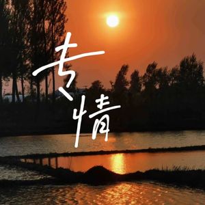 专情
