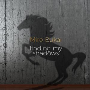 Finding My Shadow