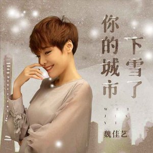 魏佳艺 - 你的城市下雪了