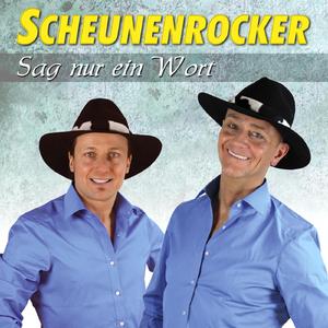 Sag nur ein Wort (Albumversion)