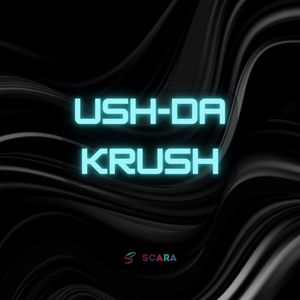 USH-DA KRUSH (slowed and reverb)