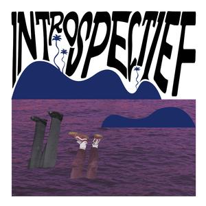 Introspectief