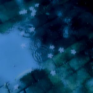 rain