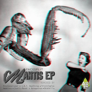 The Mantis (Original Mix)