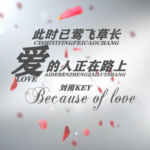 此时已莺飞草长爱的人正在路上