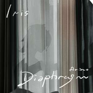 Iris diaphragm