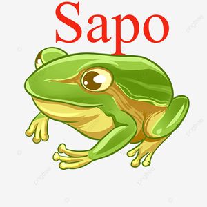 Sapo