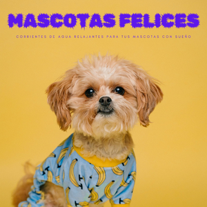 Juguetes Para Cachorros