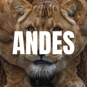 ANDES