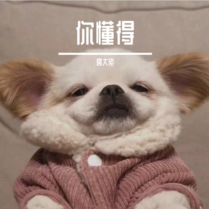 你懂得（翻自 小沈阳）