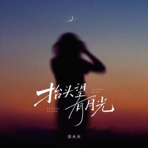 抬头望 有月光 (DJ李显风版)1.2x降调版